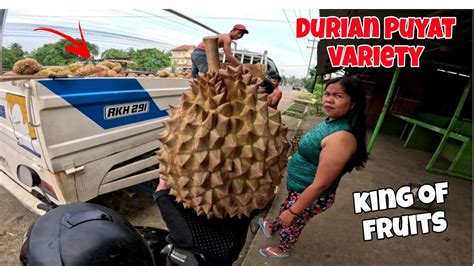 DURIAN PUYAT VARIETY CALINAN DAVAO CITY CAPITAL OF DURIAN KING OF