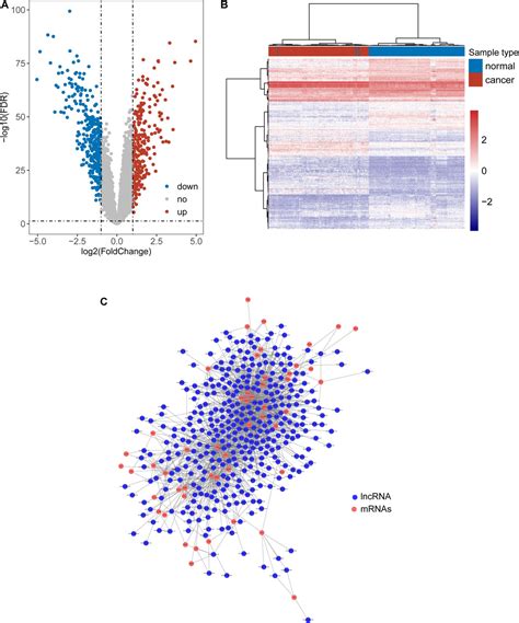 Frontiers Identification Of A Tlr Induced Four Lncrna Signature As A