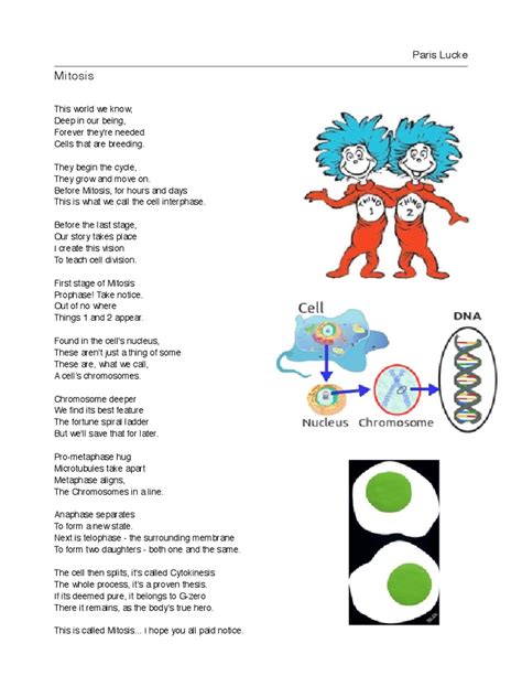 Mitosis Poem Mitosis Cell Anatomy