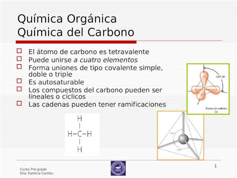 Ppt Qu Mica Del Carbono Grupos Funcionales Dokumen Tips