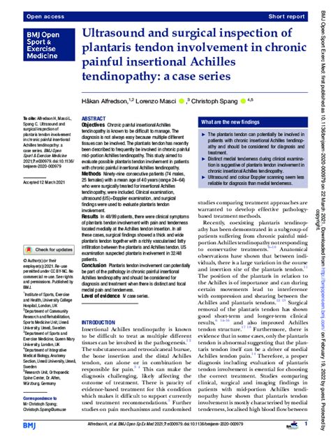 (PDF) Ultrasound and surgical inspection of plantaris tendon ...