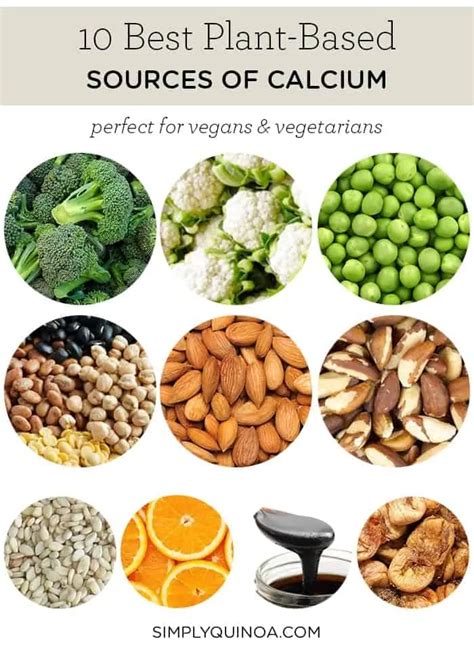 10 TOP Vegan Sources of Calcium | Foods High in Calcium | Simply Quinoa