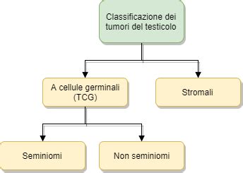 Tumore Al Testicolo Classificazione