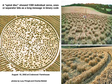 Some of the best artistic images in crop-circle history: you can send ...