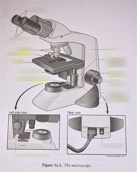 BIO 1406 Lab Practical 1 Parts Of A Microscope 1 Of 2 Diagram Quizlet