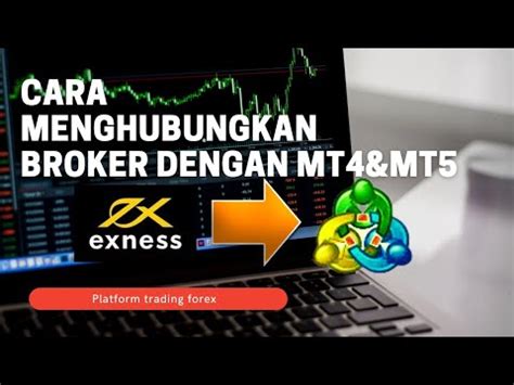 Cara Menghubungkan Broker Forex Ke MT4 MT5 Trader Forex Pemula