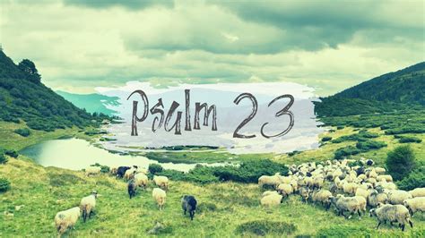 Psalm 23 You Are Going To Be Okay Video 4 Youtube