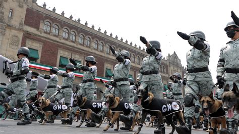 Desfile Cívico Militar 16 De Sep 2021 Guardia Nacional Gobierno Gobmx