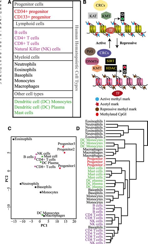 Figure From High Throughput Transcription Profiling Identifies