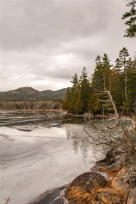 Visiting Acadia National Park In Winter: The Ultimate Guide