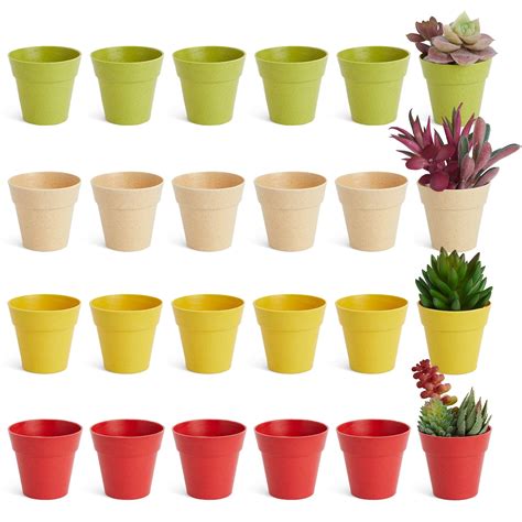 24 Pack Tiny Plastic Pots For Plants 1 5 Inch Mini Planters For