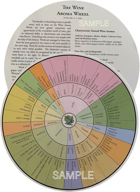 Wine Tasting Wheel Ubicaciondepersonas Cdmx Gob Mx