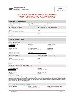 Fillable Online Declaraciones De Intereses Y Patrimonio Banco Central