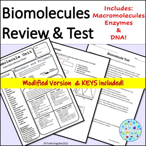 Biomolecules With Enzymes DNA Review And Test Made By Teachers