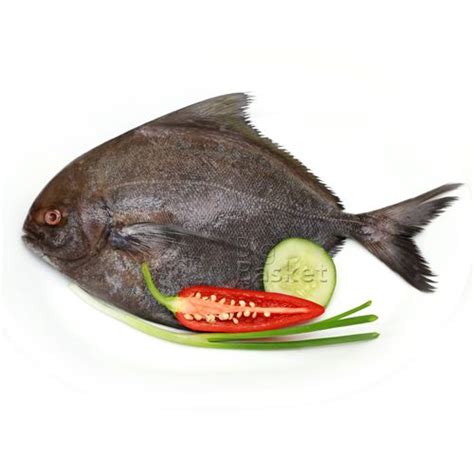 Buy Pomfret Large (2-3 Pc approx) 1kg in Thane at Best Price – E Meat Store