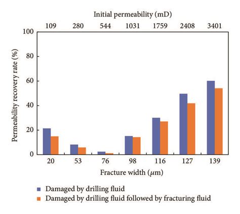 Permeability Damage Due To Drilling And Fracturing Fluids Core Samples