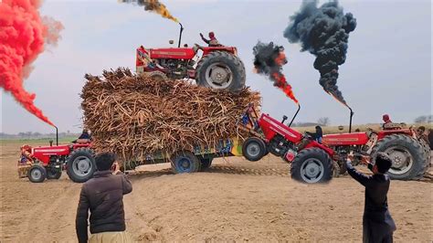 Many Mf 385 Tractors Pulling Sugarcane Trolley Tractors Stuck In The