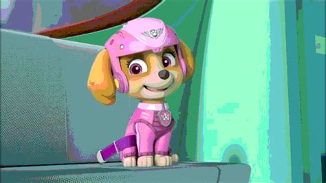 Skye Skye Paw Patrol Fan Art 40748578 Fanpop