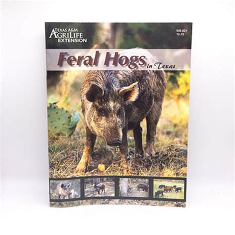 Feral Hogs In Texas Publications AgriLife Learn