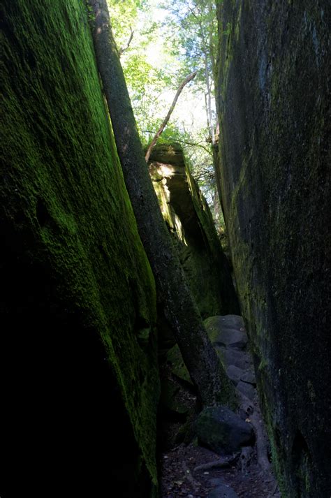 Hackleburg al 35564 storm recovery efforts bring people together 19