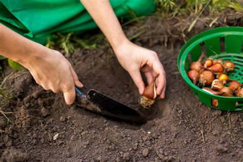 12 activités manuelles pour enfant à faire cet automne Minimall