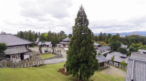 古都奈良を巡る秋の車中泊旅 二日目 東大寺二月堂 のんびりどこまでも