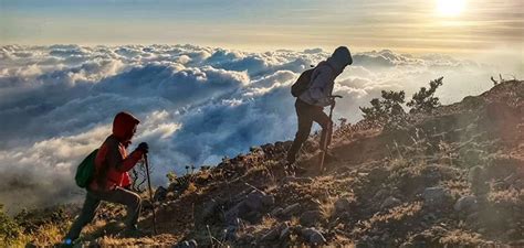 Pendakian Gunung Arjuno Ditutup Pasca Meninggalnya Mahasiswa Ub Malang