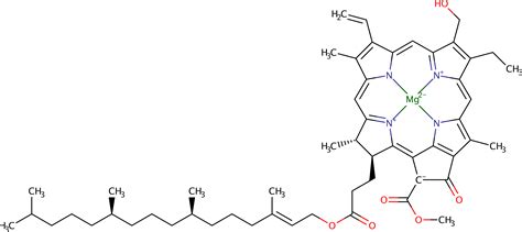 M Csa Mechanism And Catalytic Site Atlas