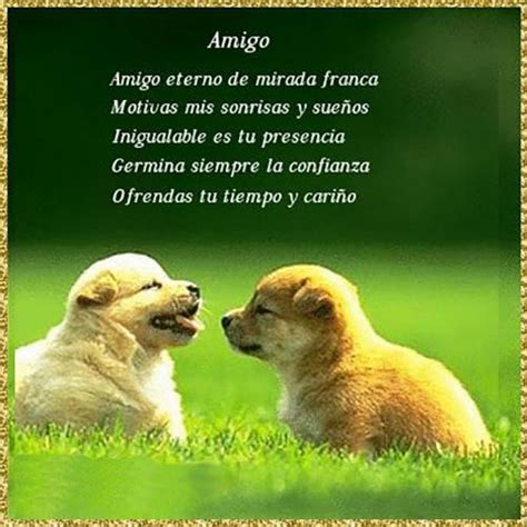 Originales Poemas De Amor Y Amistad Cortos Muy Bonitos