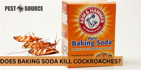 Does Baking Soda Kill Cockroaches Pest Source