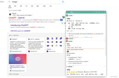 前端浏览器翻译插件 沙拉翻译前端翻译插件 Csdn博客