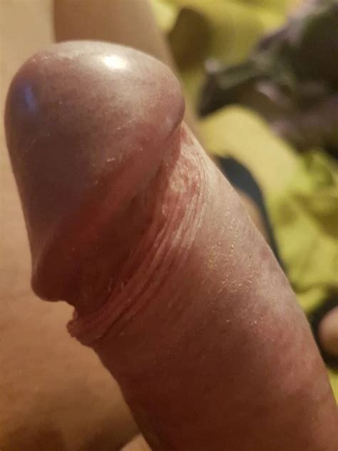 My Hungry Ass Eating Monster Cock Vibrator Pics XHamster