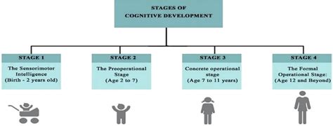 Piaget Stages Of Cognitive Development Chart Top Sellers Saberoffice Co