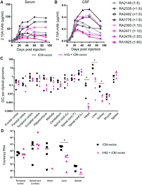 Gene transduction and transgene expression in NHPs treated with... | Download Scientific Diagram