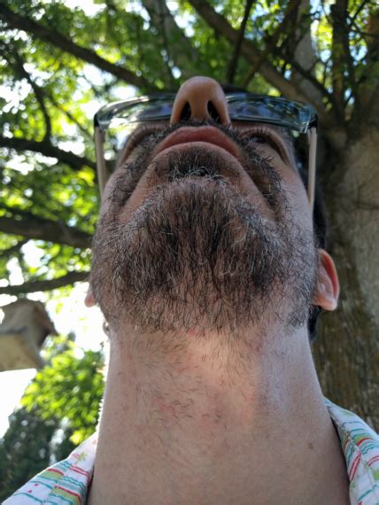 Wolf's Beard Journey (37 yrs old) - 24 Weeks - Beard Dye - Beard Board