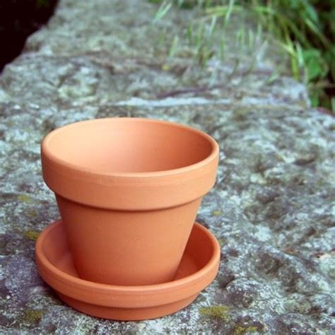 Terracotta Plant Pots Weston Mill Pottery UK