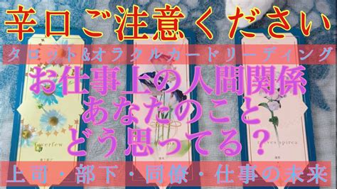 ⚠️猫登場注意🐈⚠️【辛口ご注意ください】🥵🔥お仕事上の人間関係👭 上司・同僚・部下にどう思われてる？🌈【タロットandオラクルカードリーディング】お仕事・人間関係占い🔮 Youtube