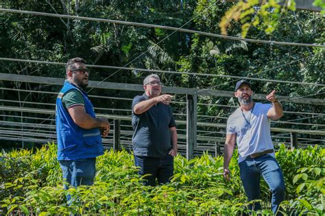 Sema Secretaria Municipal De Meio Ambiente E Desenvolvimento Sustent Vel