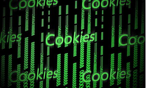 Cookie Il Garante Privacy Detta Le Nuove Linee Guida