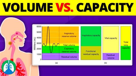 Lung Volumes Vs Capacities Quick Explainer Video Youtube