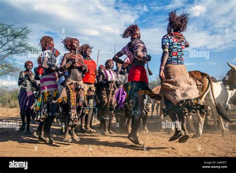 Hamar Tribe Women Dancing Before Bull Jumping Ceremony Near Turmi