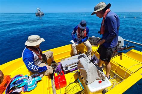 290m More Baby Corals To Help Restore And Protect The Great Barrier