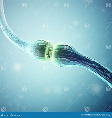 Synapse And Neuron Cells Sending Electrical Chemical Signals D