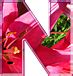 Presentation Alphabets: Lilies Letter N