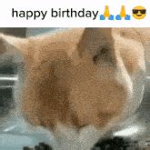 Birthday Thank You Meme GIFs | Tenor