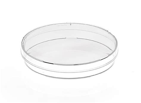 Greiner Bio One Polystyrene Petri Dishes Capacity Ml Dimensions