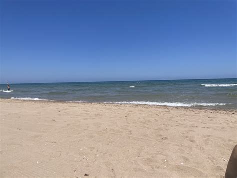 Es Llegar A La Playa Y Encontrarte Esto La Autentica Salud Forocoches