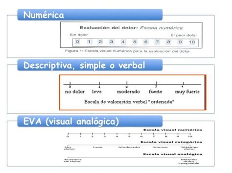 C Mo Medimos El Dolor Escalas Urolog A Funcional Y Oncol Gica