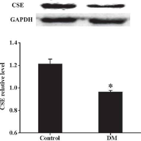 Figure From Effects Of Hydrogen Sulfide On Myocardial Fibrosis And