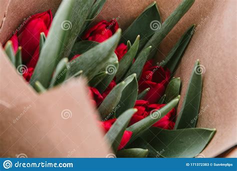 Hermosas Flores De Tulipano Rosadas Frescas Y Floridas Textura De